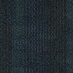 Passport color swatch