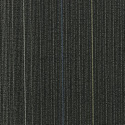 Magnetic Fields