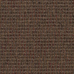 Harvest Brown