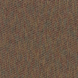 Bronze Tone