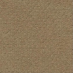 Angora
