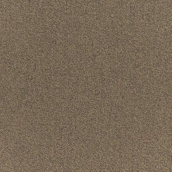 Bronze Sheen
