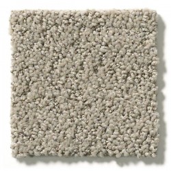 Aristan Taupe