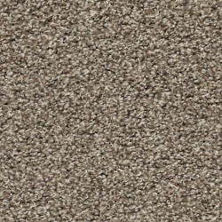 Chic Taupe