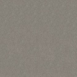 Taupe Stone