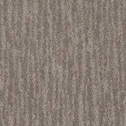 Dark Maple
