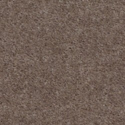 Chic Taupe