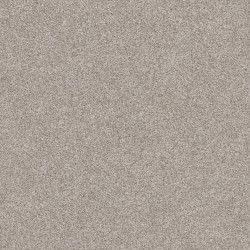 Baltic Stone