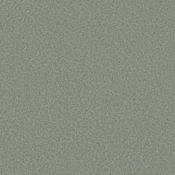 Water\'s Edge