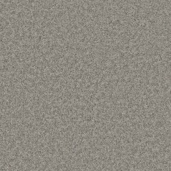 Grey Fox