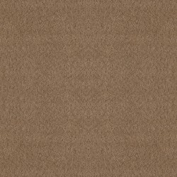 Raw Wood