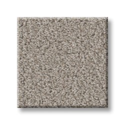 Fossil Path color swatch