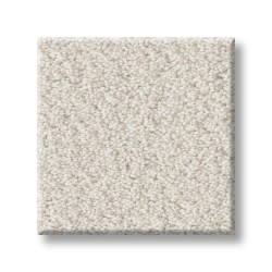 Champagne Toast color swatch
