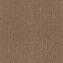 Raw Wood color swatch