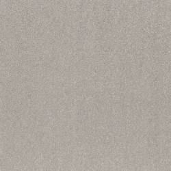 Silver Mist