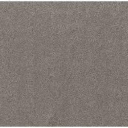 Century Taupe