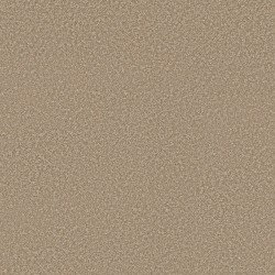 Worn Path color swatch