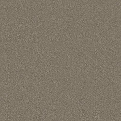 Cobblestone color swatch