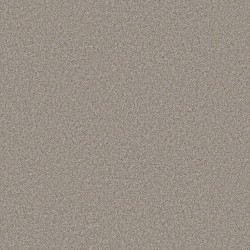 Chic Greige color swatch