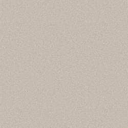 Warm Light color swatch