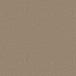 Worn Path color swatch