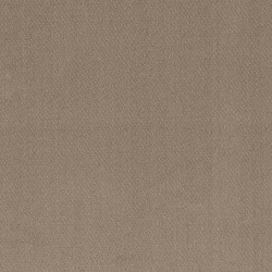 Cameo color swatch
