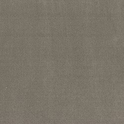 Ashes color swatch