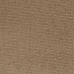 Worn Path color swatch