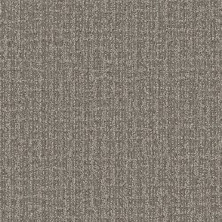 Hidden Path - River Birch