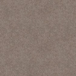 Taupe Dream