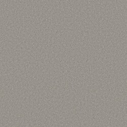 Well Made - Sheer Silver