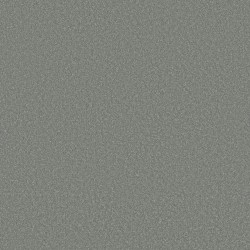 Dolphin Fin