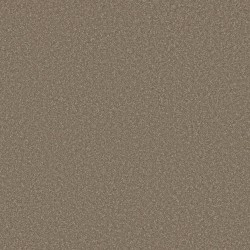 Chic Taupe