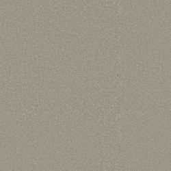 Taupe Tone