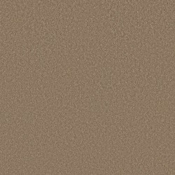 Polo Tan