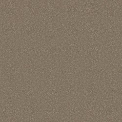 Chic Taupe