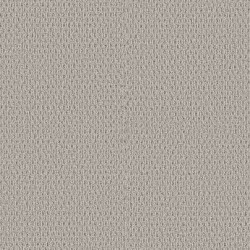 Sand Fossil