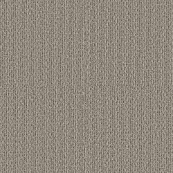 Weathered Wood