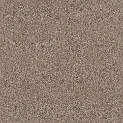 Refined Chic - Sea Shell