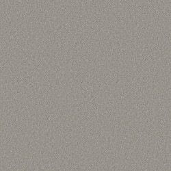 SHEER SILVER