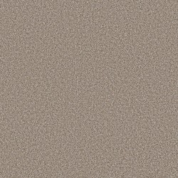 TIMELESS TAN