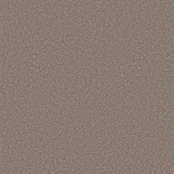 TAUPE DREAM