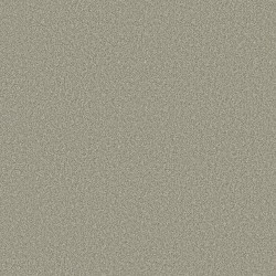 Sage Brush