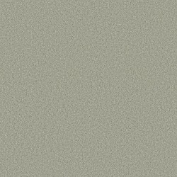 Sage Brush