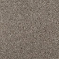 Nutria color swatch