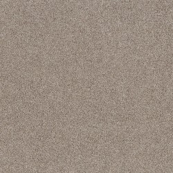 Daytona Sand color swatch