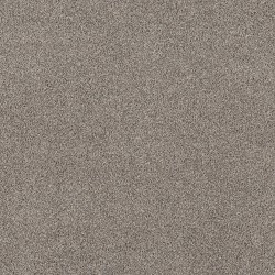 Mushroom color swatch