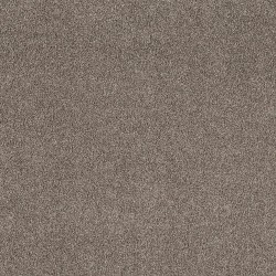 Nature Trail color swatch
