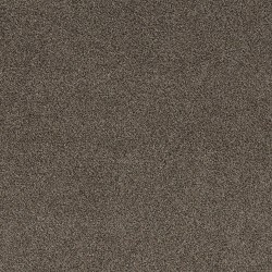 Tree Bark color swatch