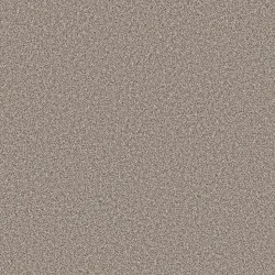 Daytona Sand